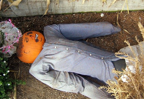 dead-pumpkin-man.jpg