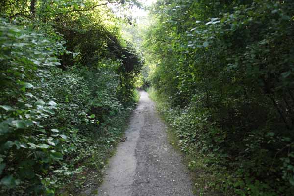 This creepy little path was once a two lane highway, and part of  the Midlothian Turnpike.  It was closed down because drag racers frequented this stretchof road, and ofteh were involved in wrecks. Stories of ghost cars abound about this old road.