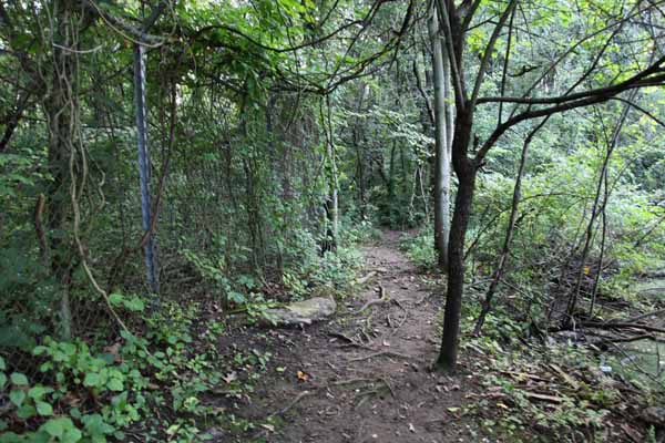 Along the out side of the rear fence of the cemetery is this creepy little path that was once used by picknickers and the like who use to fish in the pond.  That's no longer possible any more, however as the pond is completely overgrown with algie.  Mosquitos have made it a breeding ground.