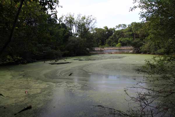 There are two legends associated with this stagnet pond.  The first one, which is most likely an 'urban legend,' is that it was used as a dumping-off point for dead bodies of those who Al Capone had 'rubbed out' back in the prohibition era.  The pond was never dragged for bodies so that can't be proven.  The other legend is that of a farmer who was out plowing his field years ago, and the horse that was pulling the plow, for some mysterious reason ran into the pond, taking the plow and the farmer with him.  On a night when there's full moon, some claim to see the ghostly apperition of that farmer riding the plow up out of the pond.  This body of water really creaped me out, and I was there in broad daylight.