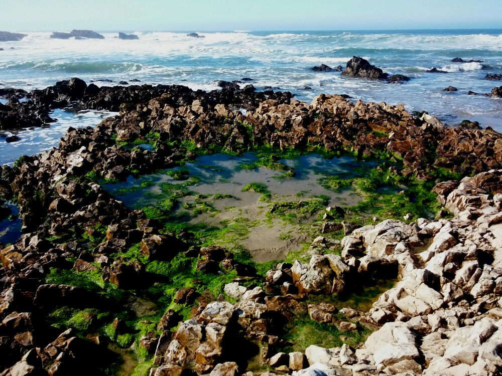 pescadero beach Valentine's 2015.jpg