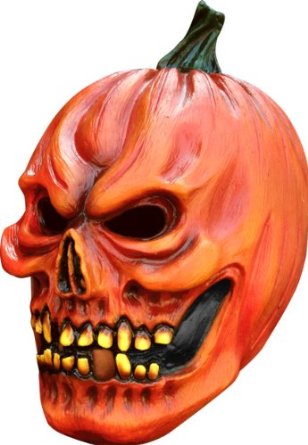 51CBipTLQpL__SY445_.jpg