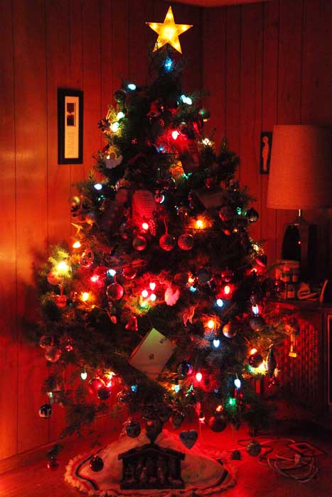 Last but by no means least, here is my Christmas Tree.  There's that traditional side of me showing again.  Of course, the tree was trimmed by the little ones, so there are lots and lots of ornaments, but then again, that's what makes it a Christmas tree.  It's also real, not a fake.